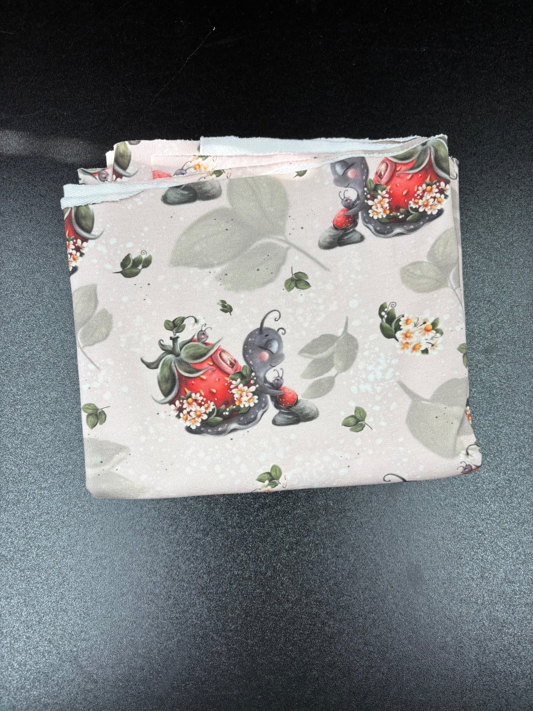 EP Erdbeerschnecke French