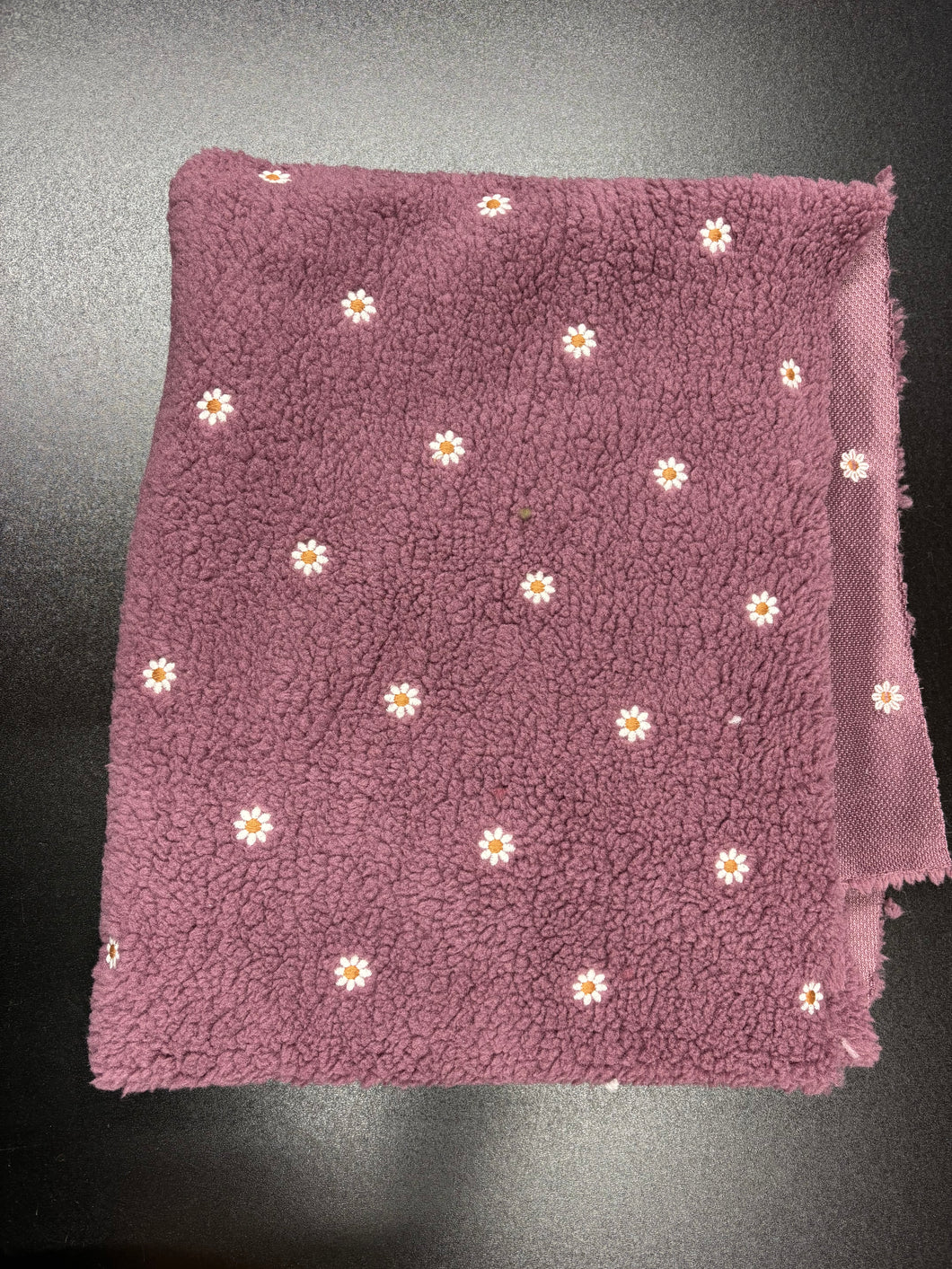 Teddy Gänseblume altrosa