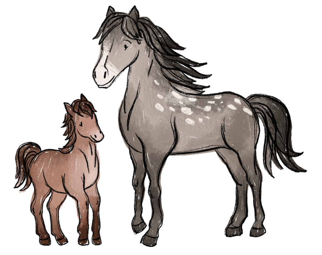 Bügelbild Pferd+Pony