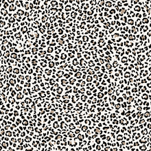 Lade das Bild in den Galerie-Viewer, EP Leo Jersey
