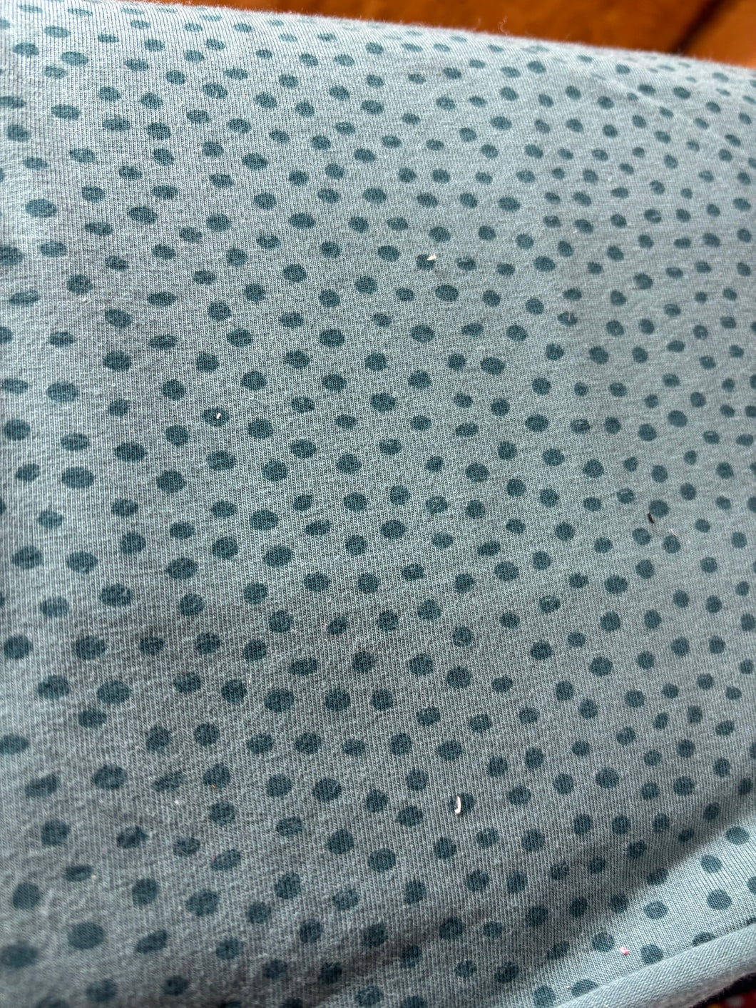 Punkte Petrol Jersey